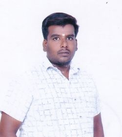 MM438541
